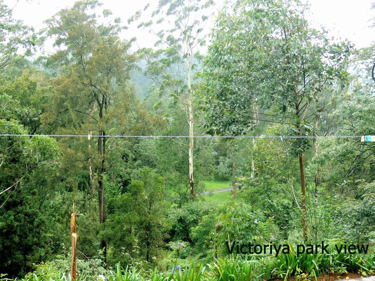 Park View Guest House Nuwara Eliya Exterior foto